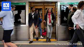 Public transport slashed to $2.80 flat fee under re-elected Labor government