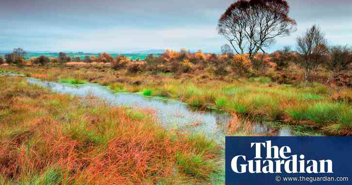 ‘We are resting on our laurels’: Scotland faces significant challenge to protect its environment
