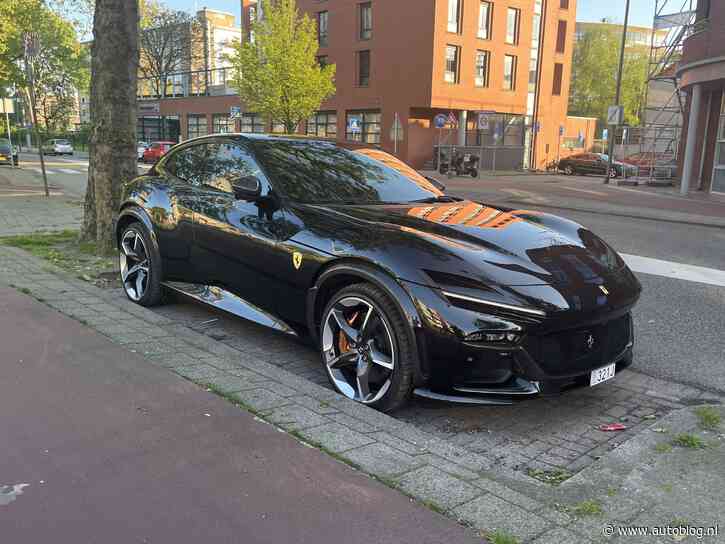 Uitkijken geblazen voor stoepranden met je Purosangue