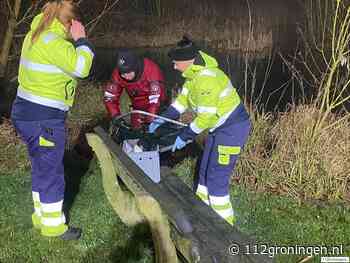 Zeemeeuw met gebroken vleugel moeilijk te vangen