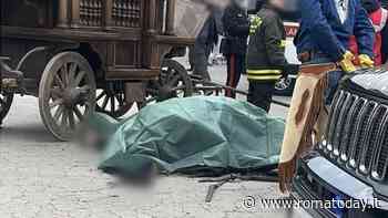 Festa di Sant'Antonio: cavallo scivola e muore mentre traina un carro