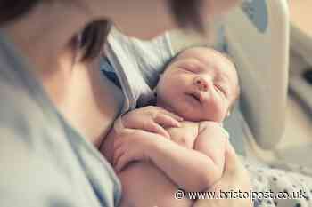 Tens of Bristol babies being removed from their parents