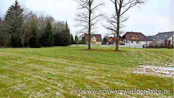 „Brand V“ in Überberg: Nächster Anlauf  für  neues Bauland      in Altensteig