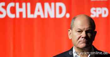 Elon Musk und die AfD: Scholz besorgt um Einmischung