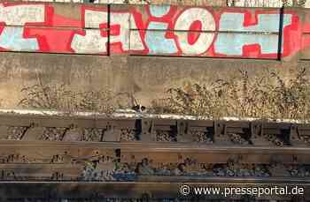 POL-PDMZ: Adleraugen finden vermissten Hund