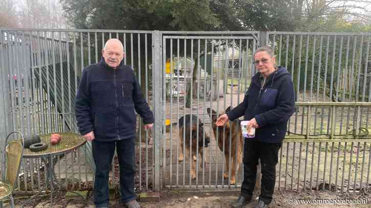 Steeds minder dierenpensions : 'Eigenaren te oud en de jeugd wil niet'