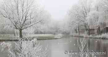 Wéér code geel om mist, maar in loop van de week krijgt zon wat meer de ruimte