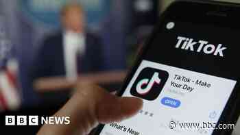 Could TikTok ever be banned in the UK too?