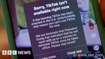 TikTok stops working as US ban comes into force