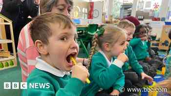Wiltshire in Pictures: Toothbrushes, tigers and barges