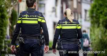 Politie ziet grote stijging incidenten met nepagenten