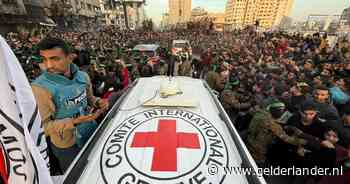 Beelden laten zien dat Hamas nog lang niet verslagen is: ‘Evenveel nieuwe leden gerekruteerd als verloren’