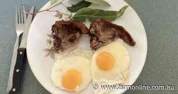 What do eggs and duck have in common with lamb? It's all in the ads