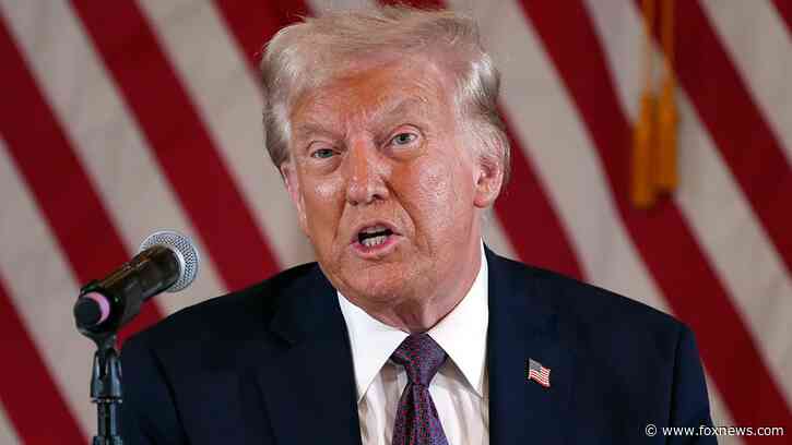 German ambassador warns Trump will 'undermine' democratic principles with 'maximum disruption' agenda: report