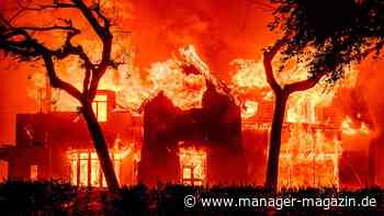 Los Angeles Feuer: Wie die Metropole nach den Bränden wieder auferstehen will