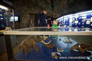Natuurhistorisch Museum Boekenberg en VolXmuseum organiseren nieuwjaarsdrink