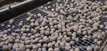 Export pootgoed start beter aan nieuw seizoen