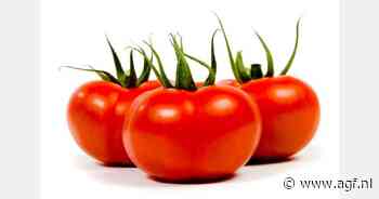 Aandeelhouderswissel Stoffels Tomaten op komst, maar oprichters blijven aan boord