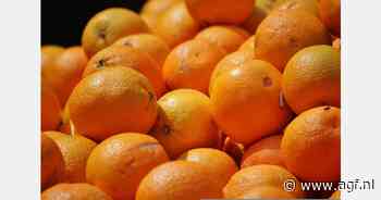 Spaanse telers willen minimunimportprijs €1 per kilo voor Egyptische sinaasappelen