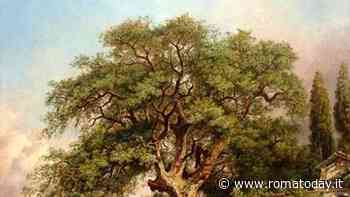 L'albero del poeta. Storie, immagini e personaggi sotto la Quercia del Tasso al Gianicolo