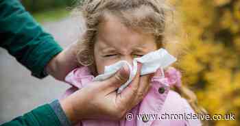 HMPV symptoms as health experts explain how virus is different to flu and Covid amid rise in cases