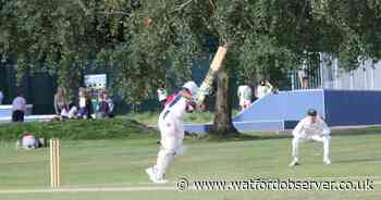 Watford secondary 'one of the UK's best state schools for cricket'
