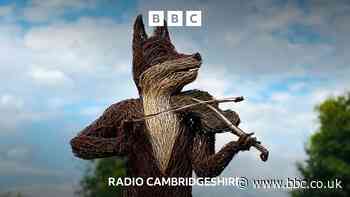 ‘Shock’ at Cambridge Folk Festival cancellation