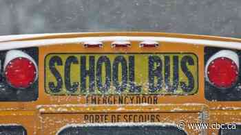 Extreme cold in Manitoba leads to school and bus cancellations