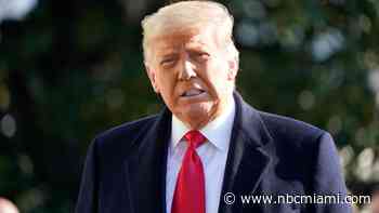 As Trump returns to the White House, families in Florida, the US prepare for mass deportations