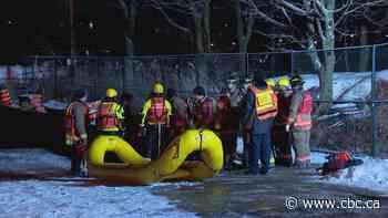 Woman dies after vehicle goes into Lake Ontario in Toronto's east end