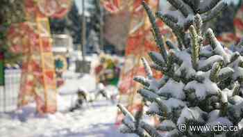 Need a simple way to destress? Stop and notice nature, experts say
