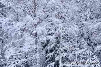 SE Wyoming Blasted With Double Digit Subzero Temps, Cold Warnings