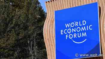 „Donald Trump ist sozusagen der Elefant im Raum – er ist omnipräsent“