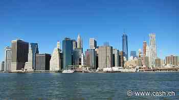 Hedgefonds: Gebühren machen die Hälfte der Gewinne aus