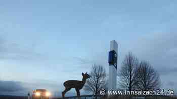 Reh wird bei Unfall in Bayern durch Windschutzscheibe geschleudert - Mann (78) schwer verletzt