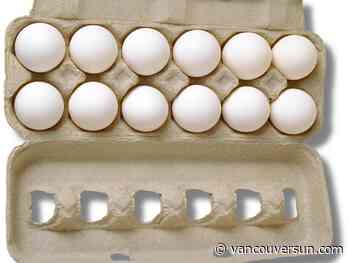 Egg recall: Six brands sold in B.C. and other provinces recalled over salmonella concerns