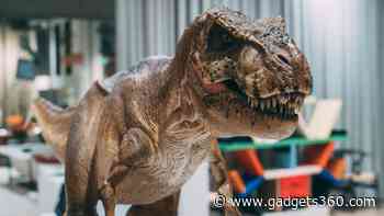 Giant Horned Dinosaur Fossils Rediscovered in Egypt, WWII Lost Treasures