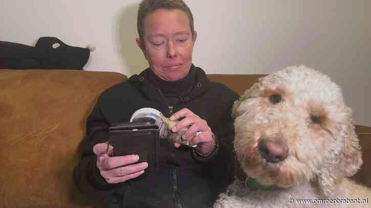 Patiënten moeten uren wachten tot taxi komt: 'Ziekenhuisafspraak gemist'