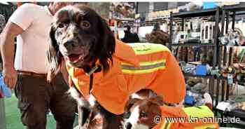 Outdoor-Messe 2025 Neumünster: Youtube-Star Jörg Ovens kommt