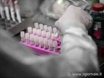 Omissioni sul Piano pandemico, a processo gli ex manager della Sanità