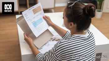 Surge power pricing largely ineffective and inequitable, consumer group says