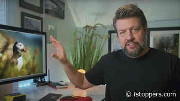 When to Prioritize Shutter Speed or Aperture in the Field