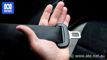 Hunter Valley wedding bus tragedy prompts seatbelt sign mandate