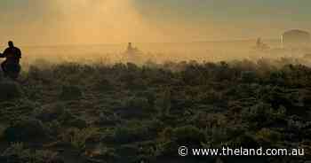 Technology provides a 'pre-emptive warning' on drought for pastoralists