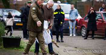 Buurtbewoners volkomen verrast door wolf in achtertuin: ‘Dat verwacht je niet in onze wijk’