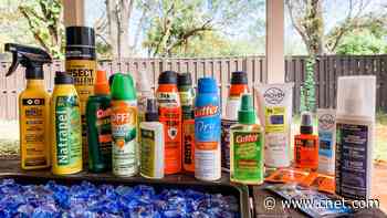 Best Bug Sprays for 2025