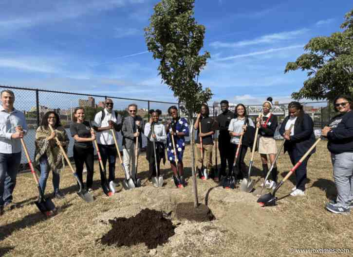 BP Calls on Adams to fully fund parks department and plant trees in the Bronx
