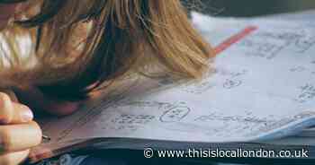 AI in Homework: Tool for Learning or Shortcut for Cheating?