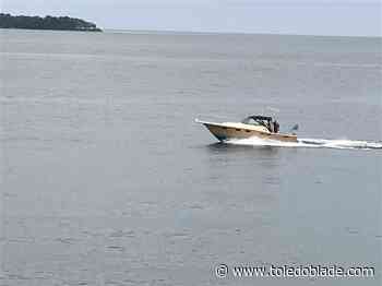 Remaining would-be intervenors make final plea to Judge Carr for inclusion in Lake Erie TMDL case