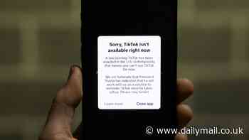Simple mistake that leaves users unable to access TikTok even after ban was lifted